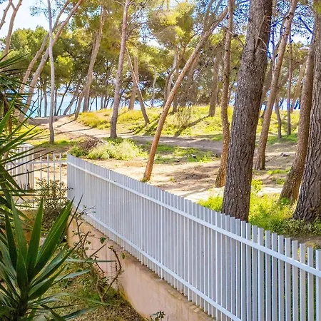 Pinos Playa פורט ד'אלקודיה